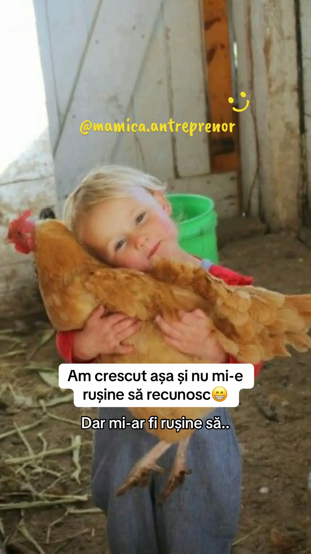 #mamicipetiktok #goviral 