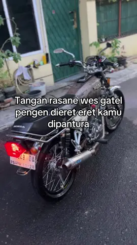 #79style #gl100 #panturace 