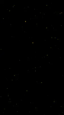 استشهاد مولاتي فاطمة الزهراء(ع) الرواية الثالثه يازهراء  #موكب_الاحزان #امجد_كريدي #فاضل_عواد_السماوي #شور_حتى_الظهور #تصميم 