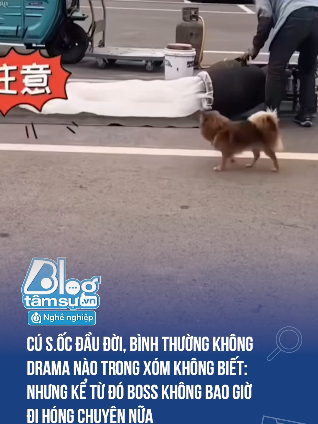 Từ đó hết đi hóng chuyện 🤣🤣🤣 #viral #haihuoc #xuhuong #btsmedia #blogtamsu #funfact #discovery #tiktoknews #cho