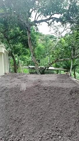 boko2 Ra po2..seng penting Ono muatane🤫