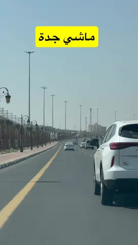 #سناب_حكمة #saedsalhlazbidi #سعيد_الزبيدي #fypシ 