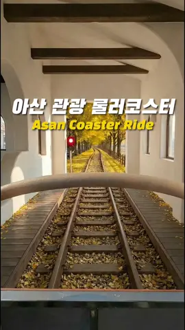 아산시를 롤러코스터로 관광한다면 #아산 #아산시 #아산여행 #ai #aiart 