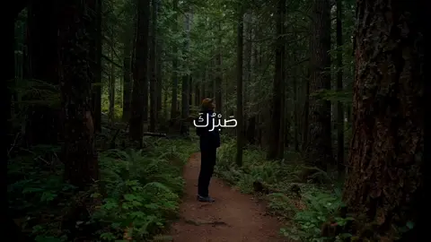 طمأنينه🕊️🤍 #راحة_نفسية #عبدالباسط_عبدالصمد #قران_كريم #قران #quran  