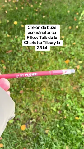 Creion de buze asemănător cu Pillow Talk de la Charlotte Tilbury la doar 35 lei #fyp 