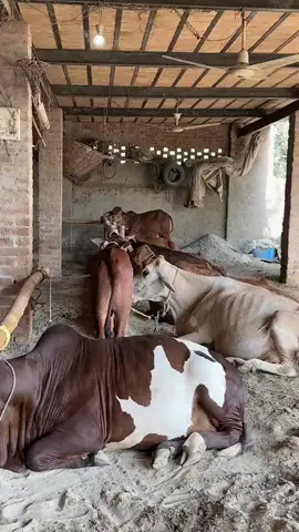 #foryou#fyp#tiktok#God bless