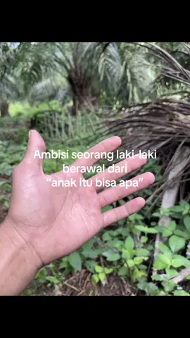 #sawit #bossawit #petanimuda #masukberandafyp #fyppppppppppppppppppppppp 