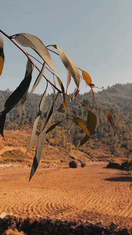 😌💔#sadpoetry #fyp #viral #100kviews 