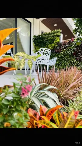 Trạm chữa lành ❤️❤️💕💕#canhquandep #canhquansanvuonbietthu #thietkesanvuonbietthu #canhquanbietthu #sanvuondep 