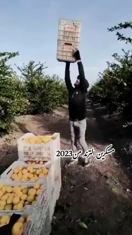 #حمودي_العوني♡ #منبج_الرقة_ديرالزور_الشاويه #الشعب_الصيني_ماله_حل😂😂 @ابو سلطان العوني 🩶☝️ @آبـಿـو أّلَجّـوٌدٍ @🖤𓆩͢الزيرالعوني𓆪 @حسين الصريني @ااثَۃ‍ݛݛ صِࢪ⃪⃪يــنِيٰ ۃِ١. @ألشهم ألعوني👑🪓 @الشـᬼ❤️⑅⃝𓆩  𓆪ـاوي @𓆩⁸¹¹𓆪 𓅋عـلـوش الـشـاوي𓅋 @ابو حذيفه 🖤☝️ 