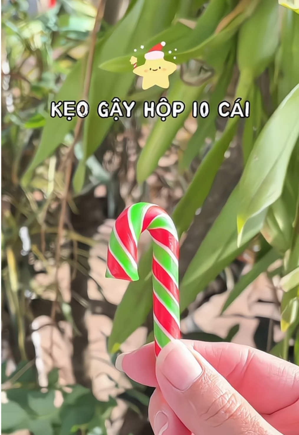 Ai lăn tăn tặng quà giáng sinh thì quẹo zô coi hộp quà kẹo gậy của tui nè, xinh lắm đó. #kẹo #keogiangsinh #keonoel #keogaygiangsinh #kẹo_ngọt🍭🍥🍡 