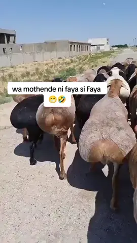 #tranding #trendingafricantiktoksound  wa mothende trending 