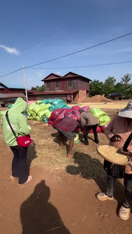 #ខំណាស់រាលងៃដើម្បីជីវៈភាព🦾😊❤️#បាតដំបងផ្ទះខ្ញុំ🏡💘 @ឈឿន ឆាយយ៉ា 