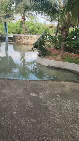 25/11 hồ dầu tiếng xã lũ## mong bà con vùng hạ luu cảnh giác