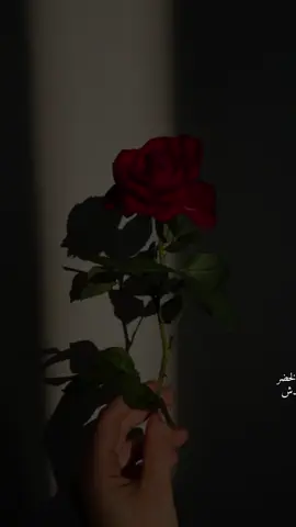 #نصرت_البدر #مجرد________ذووووووق🎶🎵💞 #تصميم_فيديوهات🎶🎤🎬 #تصميمي 