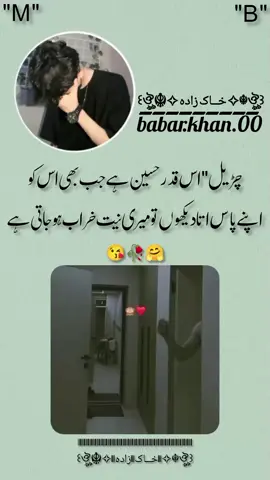 #viraltiktok #plztiktokdontunderreviewmyvideo #foryoupage❤️❤️ #urdupoetry #growmyaccount 
