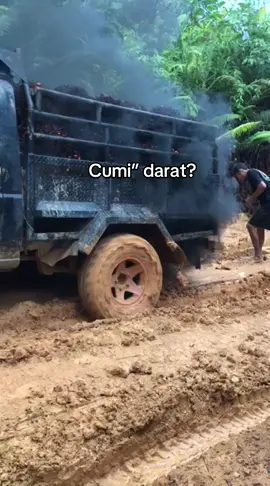 @ogii⚡️ lagi gacor ny🤣