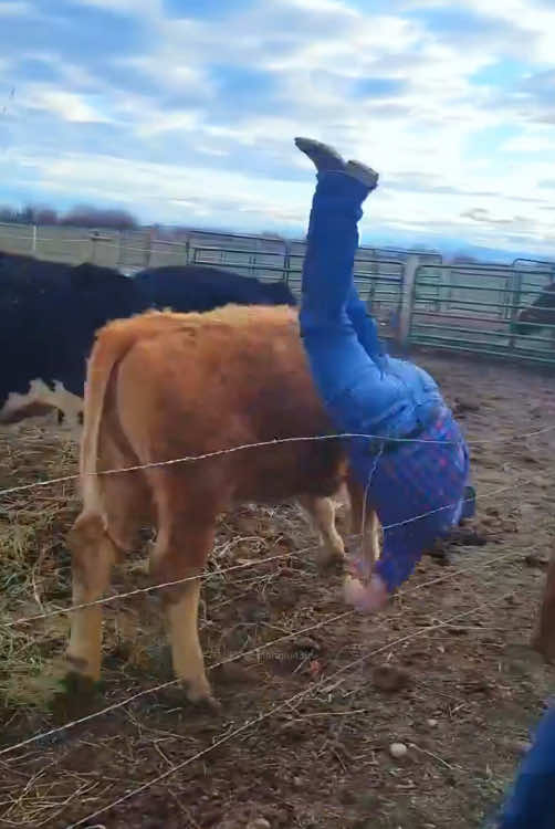 Funny fail(do not imitate)#foryou #fyp #fail #usa🇺🇸 #funny #hahaha #badluck 