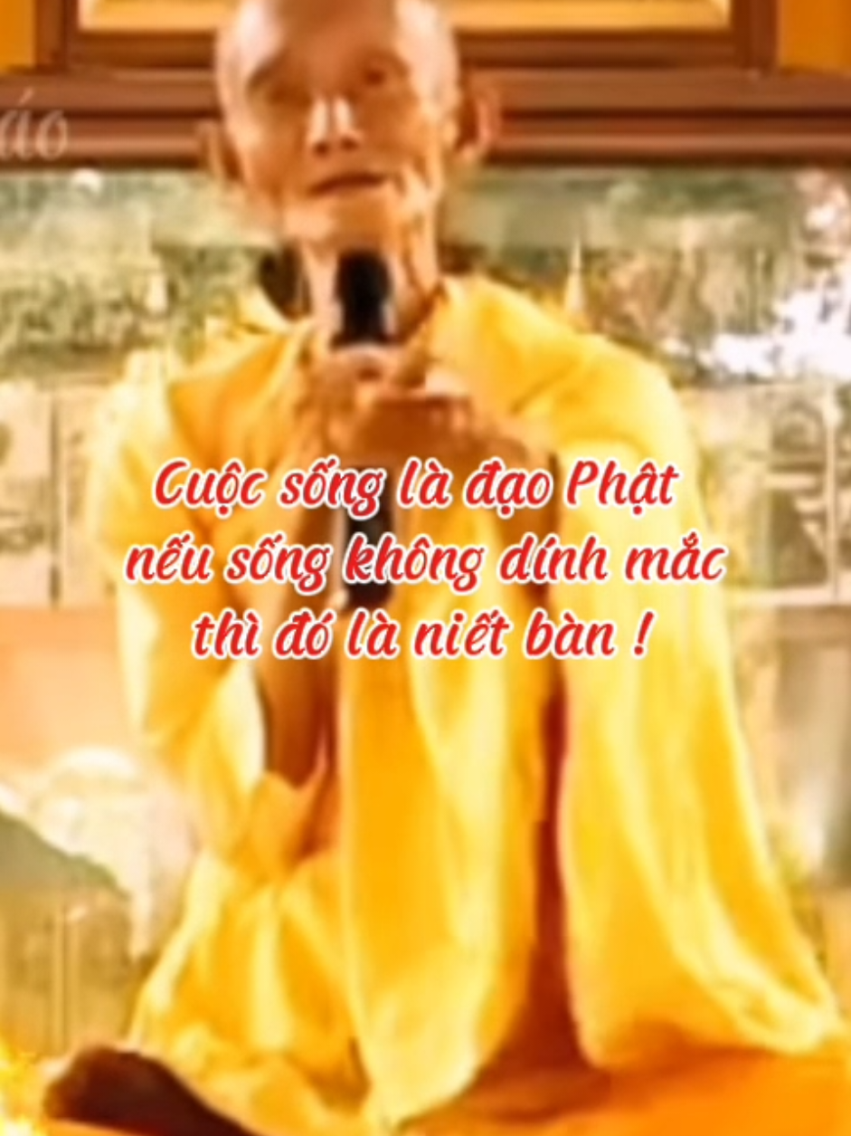 Cuộc sống là đạo Phật   nếu sống không dính mắc   thì đó là niết bàn #loiPhatday #ThichGiacKhang #thongdiepcuocsong #nhungcaunoihay #xuhuongtiktok 