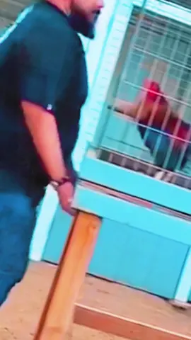 lol #fyp #funnyvideos #funny #funnyvideo