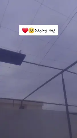 #امي #اكسبلورexplore❥🕊🦋💚❤ 