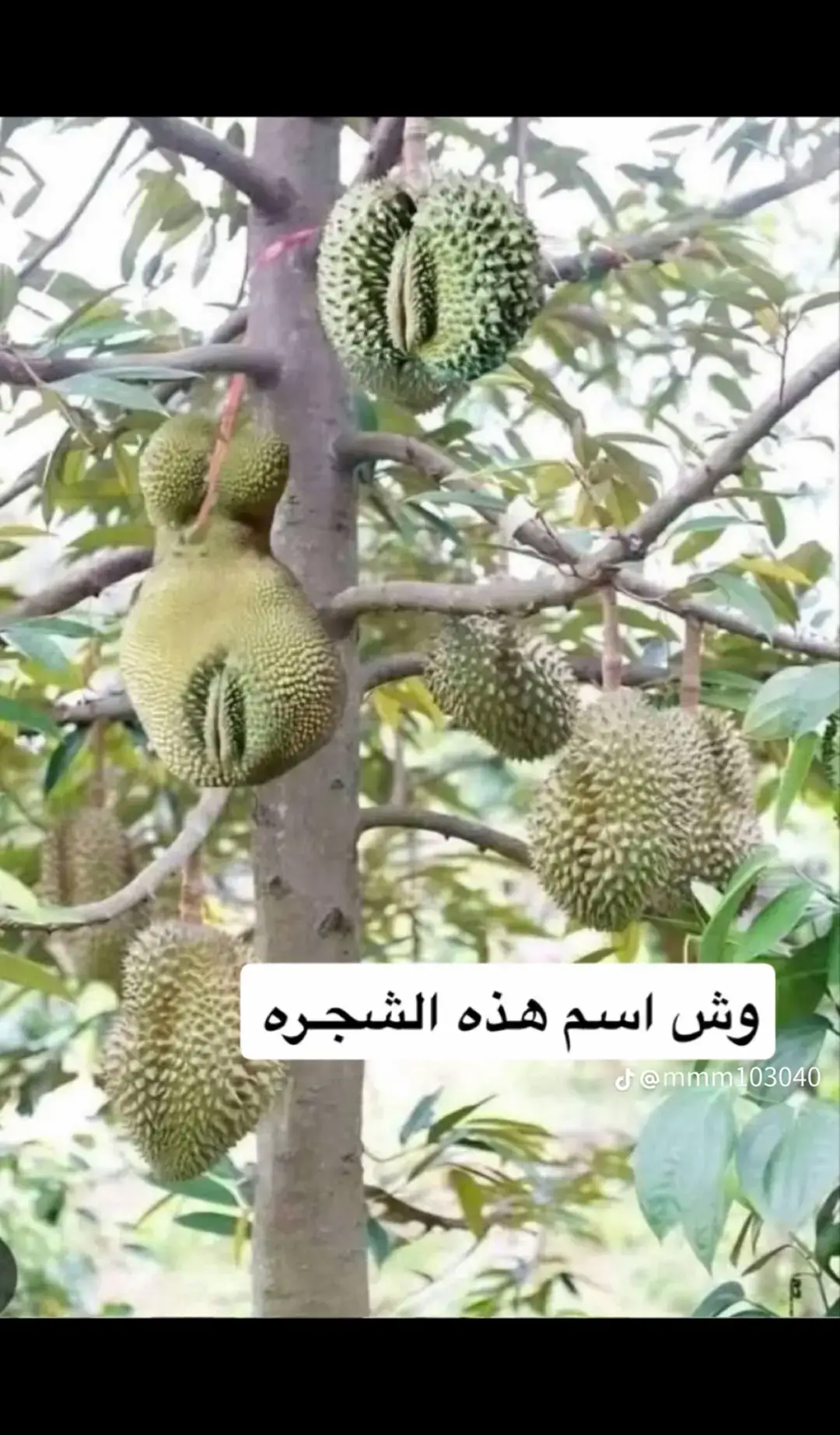 الي يعرف شي عنها يتحفنا