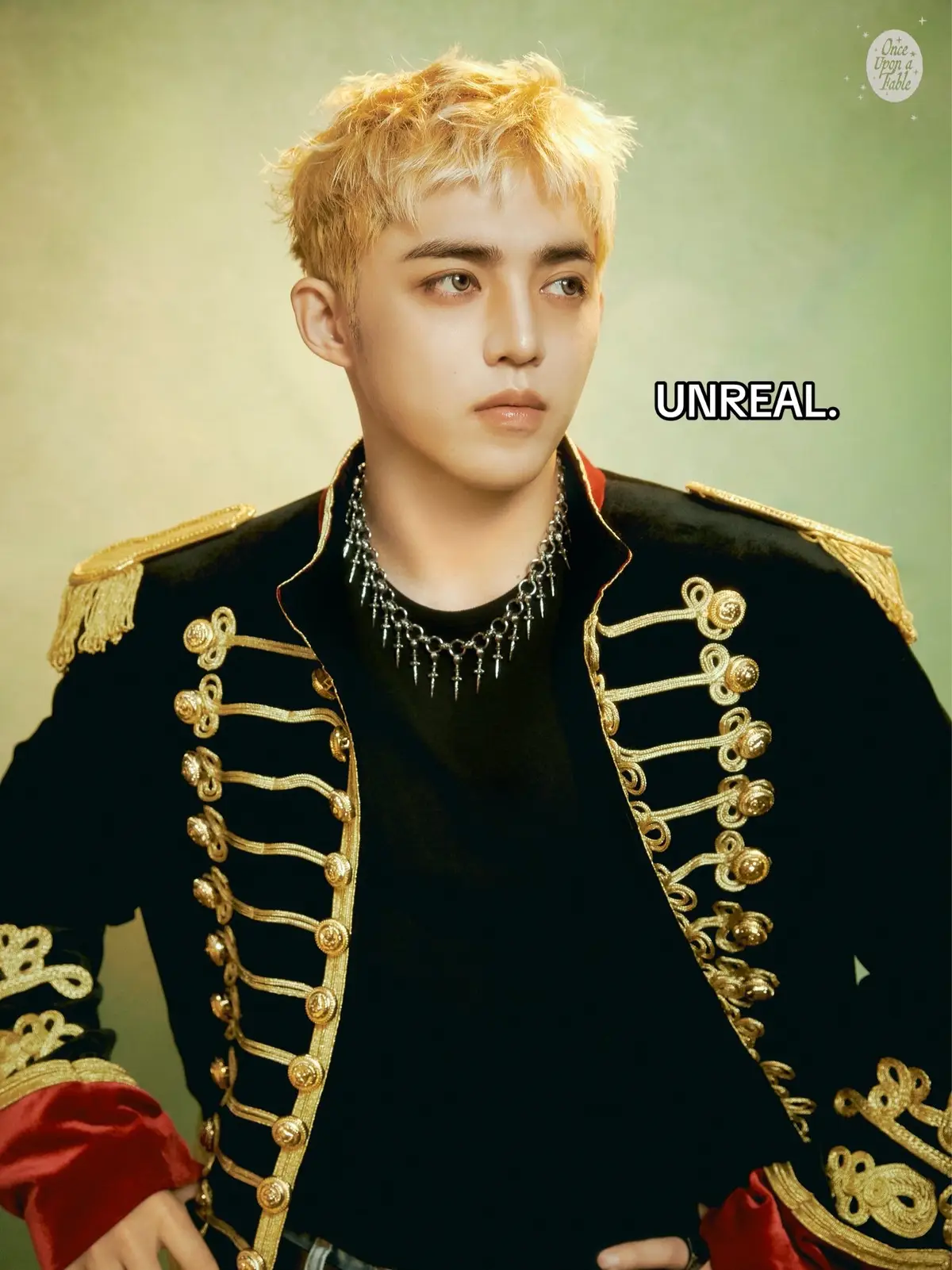 seventeen 2026 season’s greetings - once upon a fable🤍 they look beautiful😭 #seventeen #svtcarat #fairytale #seasonsgreetings #weverse 