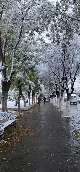 ❄️❄️ winter is coming ❄️❄️ #tik_tok #fyp #explore #setif #algeria🇩🇿                                 