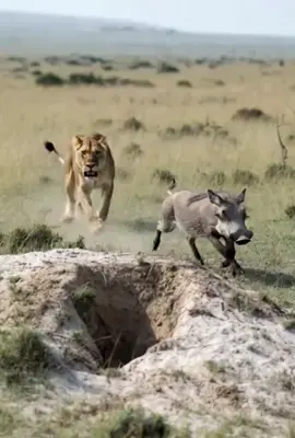 شاخوف حق غزوات 🤣 #التعليق_الصوتي_صادق_العودي #اضحك_من_قلبك_مع_صادق_العودي🤣 #الشعب_الصيني_ماله_حل😂😂 