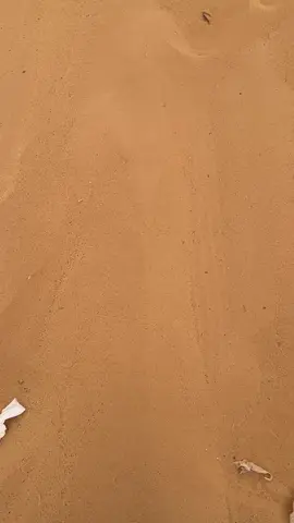 #اكسبلور #سييرا_سبايسي🔥 