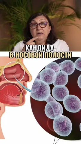 Что происходит, когда Кандида заселяет носовую полость? ▶️Хочешь избавиться от неё? Свяжись со мной по ссылке в шапке профиля