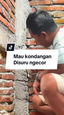 Tukang mau kondangan di suru ngecor. Tapi ga usah khawatir aku kasih tau cara mengatasi beton kopong