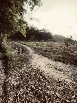 “你离开的那一天,每个季节都还记得 太阳心不在焉,秋日的天空破碎。” 