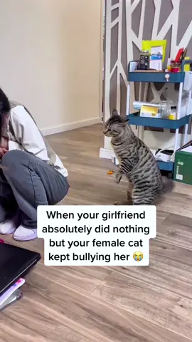 Cats are mean to their owners#cat #cats #catslovers #catsoftiktok #fyp