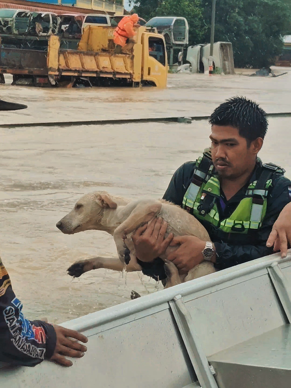 #ชีวิตใครใครก็รัก #ช่วยหมา  #น้ำท่วม #หาดใหญ่ #แบงค์ก่อพงศ์ 