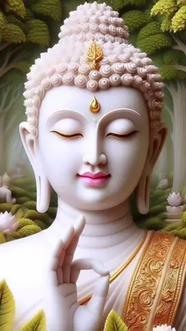 Nam mo a di đa phat🍀🍀🍀🌸🌸🌸♥️♥️♥️🙏🙏🙏