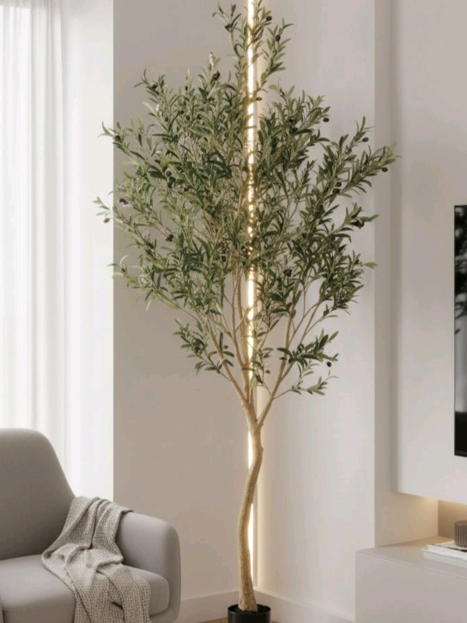 #artificialplants  1.6 9500 1.8 10,500