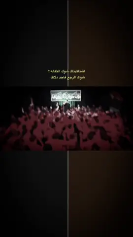 اشتاكيتاك شوك الثكاله💔.  #سيد_سلام_الحسيني #عباس_صبيح #سيد_سلام_الحسيني #اكسبلورexplore #السيدة_زينب_سلام_الله_عليها 