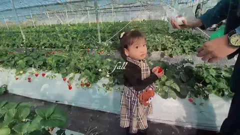 Adikkk sekarang udah besar best, udah eling sekarang .kemarin umma gak ikut naik gunung dia gak sedih malah bilang “adik udah bilang “ .habis ini adikk gak bisa dipanggil adik lagi ,tapi dipanggil kakak .aku sayang adik 🥹🫶🏻🫶🏻#eunofamilyjapan #ritsuki #fyp 