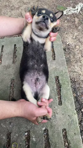 Một ngày Trâm sóc bản thân