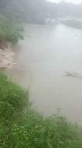 Lhoksukon siap2 banjir besar #lhoksukon #banjir 