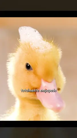 #movie #fyp #foryou #fil