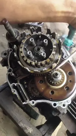 Quá đã cái ước mơ rồi. 