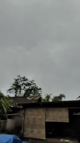 😇#tigergank #tigermodifikasi #fypシ 