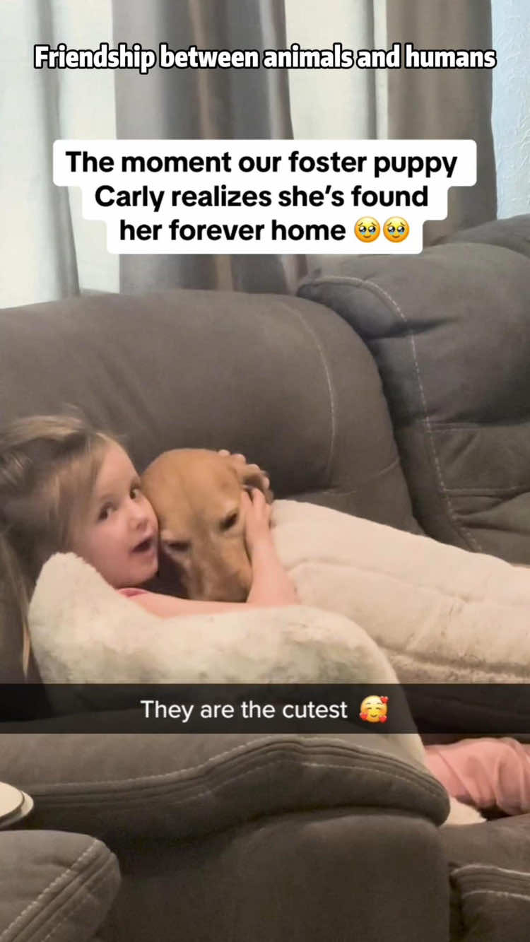 The purest friendship between animals and humans 🥰❤️ #AnimalFriendship #HumanAnimalBond #Friendship #Love #Heartwarming  #DogLovers