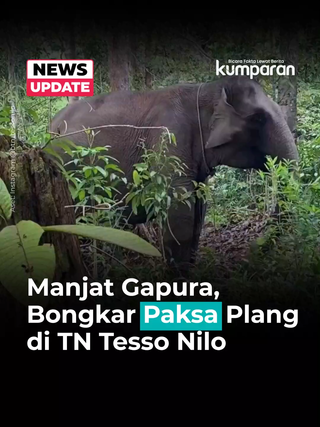 Massa warga di kawasan Taman Nasional Tesso Nilo (TNTN), Pelalawan, Riau, membongkar paksa plang serta gapura pos jaga milik pemerintah. Mereka juga meminta personel bersenjata dari Satgas Penertiban Kawasan Hutan meninggalkan lokasi. Aksi ini terekam dalam video yang diunggah akun resmi TNTN dan terjadi pada Senin (24/11). Pengelola TNTN mengecam tindakan perusakan fasilitas negara dan mengingatkan bahwa kawasan itu dibangun untuk menjaga kelestarian hutan serta melindungi satwa liar, termasuk gajah Sumatera. Mereka menilai aksi warga mengancam keberlangsungan habitat terakhir satwa dan bertentangan dengan prinsip kemanusiaan. Sebelumnya, ketegangan juga terjadi pada Jumat (21/11) ketika massa memaksa petugas keluar dari sejumlah pos pengamanan. Situasi ini disebut dipicu ketidakpuasan warga atas jawaban Satgas PKH dalam dialog sebelumnya. Kepala Balai TNTN, Heru Sumantoro, menyebut kemarahan massa berujung pada pengusiran tim satgas. Di tengah kondisi memanas, pendataan masyarakat yang menguasai lahan di kawasan TNTN tetap berjalan. Per 19 November 2025, tercatat ribuan kepala keluarga dan ribuan hektare lahan telah terdata, mulai dari Bagan Limau, Kusuma, Lubuk Batu Tinggal, Lubuk Kembang Bunga, hingga Air Hitam. 📸: Dok. Instagram @/btn_tessonilo. Follow WhatsApp Channel kumparan untuk dapat Informasi terpercaya dikirim langsung ke WhatsApp kamu. Ketik kum.pr/WAchannel di browser kamu sekarang, agar bisa share informasi tanpa ragu. #newsupdate #update #news #videonews #tessonilo #gajah #tamannasional #riau #tntn #info #infoterkini #berita #beritaterkini #bicarafaktalewatberita #kumparan