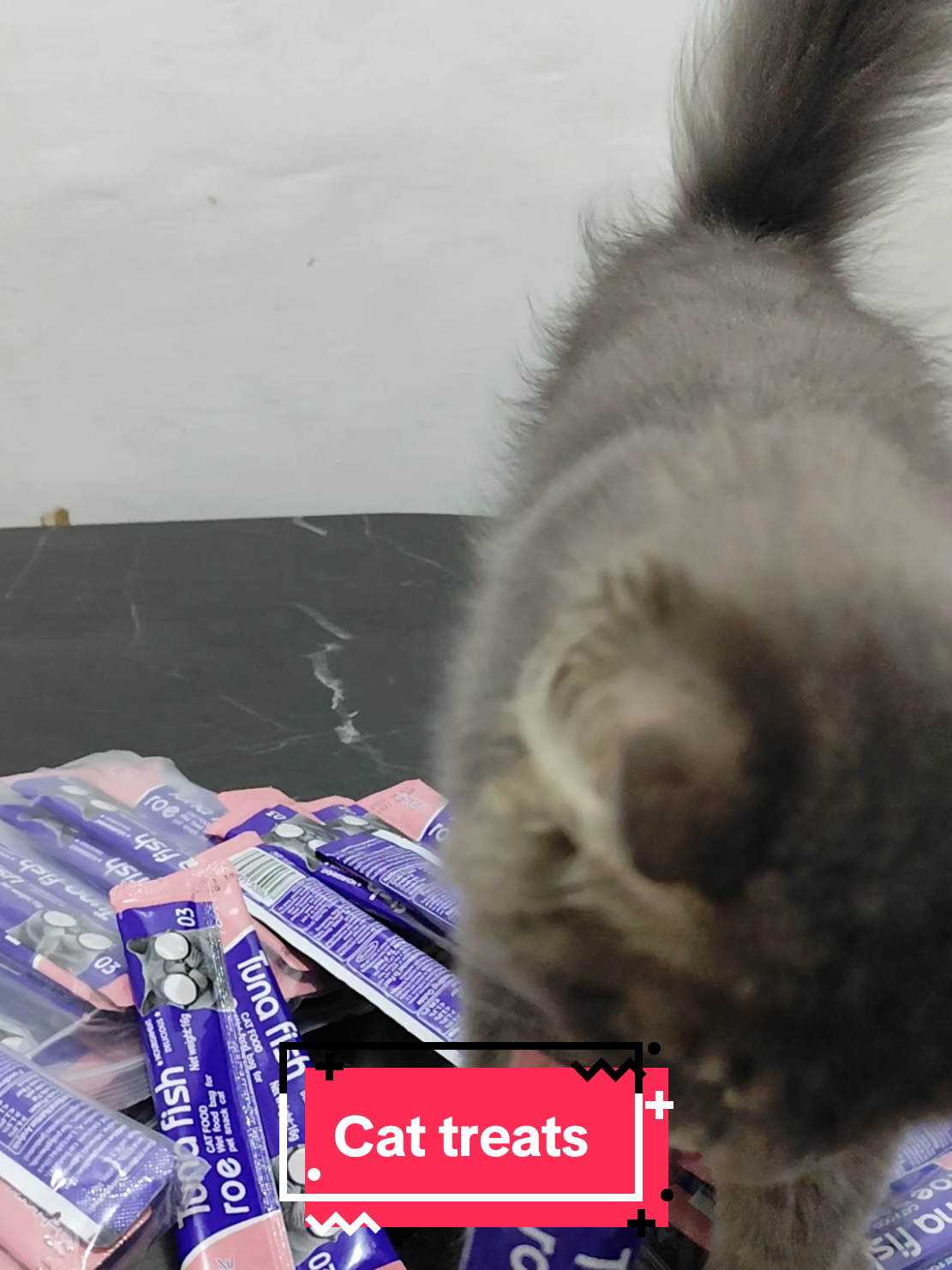 #fyp #viral #cat #tiktokshop #cattreats 