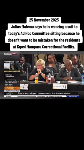 #tiktoknews #madlangacommissionofinquiry #prisontiktok #crimetok #saps 