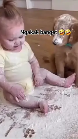 bisa kompak gitu ya🗿 #fypシ゚ #videolucu #bayilucu #katakata #xybca 