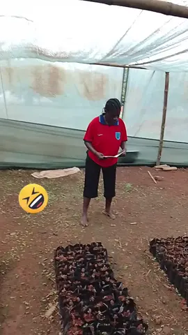 🤫😂😂😂😂😂😂